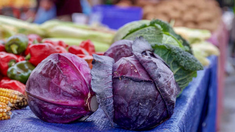 8 IMPRESSIVE BENEFITS OF PURPLE CABBAGE