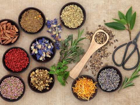 Which herbal medicine is used to treat high blood pressure?