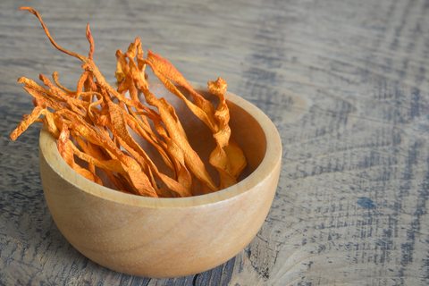 cordyceps mushroom tea