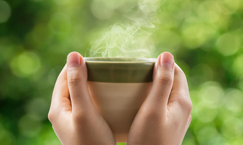 What is the best herbal tea for indigestion?