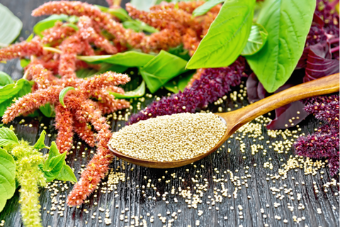 7 Amaranth Seeds Benefits Supercharge Your Health!