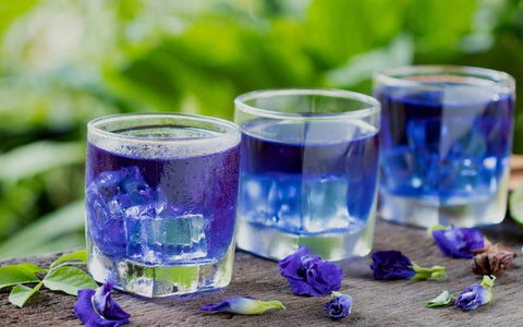 butterfly-pea-flower-tea-weight-loss