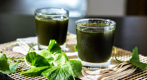 Gotu Kola Benefits