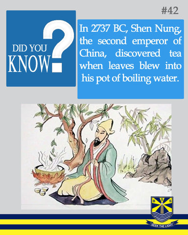 2737 B.C  Tea History Shen Nung
