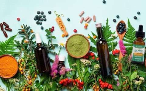 herbal-medicine-holistic-health