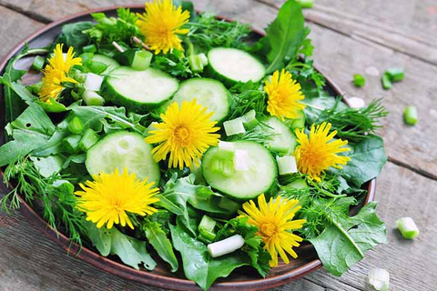 Dandelion flower recipes