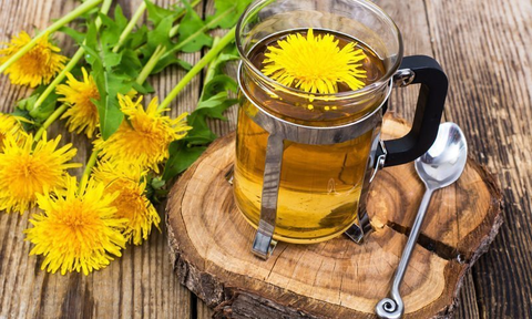 Can you drink dandelion root tea everyday?