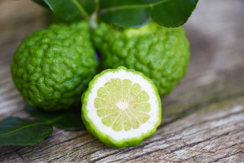 What part of bergamot is used in tea?