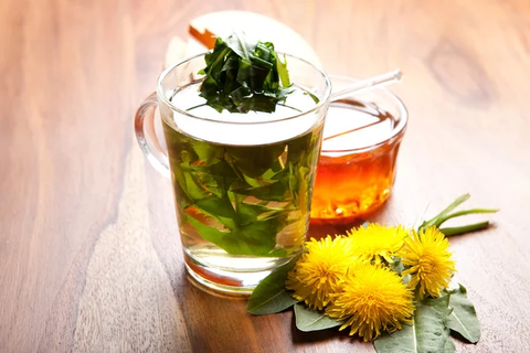 Can you drink dandelion root tea everyday?