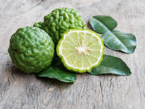 What is citrus bergamot good for?