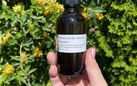 make-honeysuckle-flowers-tincture