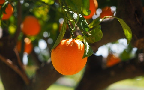 orange-peel-potential-limitation