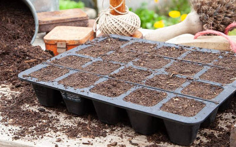 prepare-the-soil-to-plant-red-cabbage