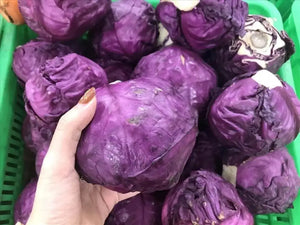 4 pack x 1000 Seeds red Cabbage Seeds Red Acre Cabbage Seeds Organic Non-GMO - The Rike