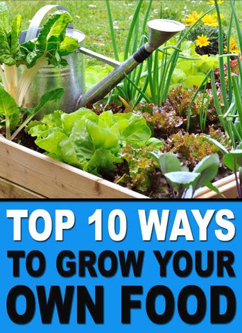Grown your own food