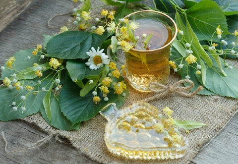 All Amazing Mental & Physical Health Benefits Of Linden Flower Tea