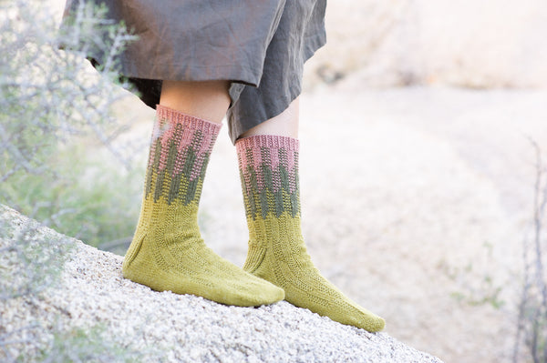 Cereus Socks by Fiona Alice