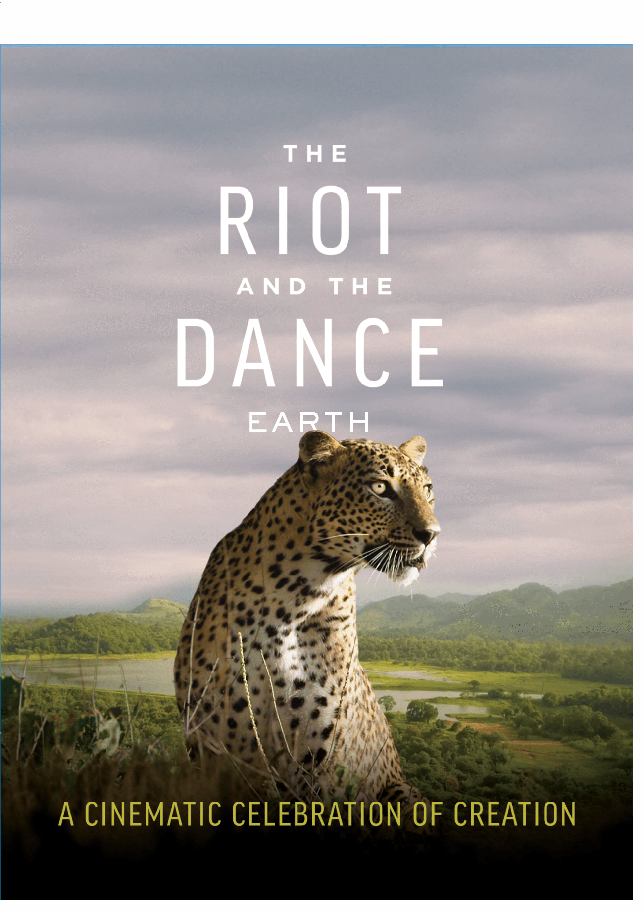 the-riot-and-the-dance-blu-ray-canon-press-reviews-on-judge-me