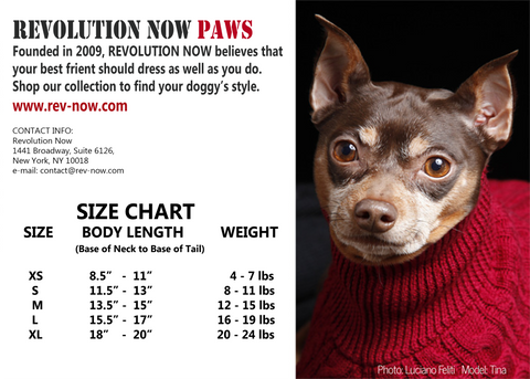 Paws Size Guide, Dogs Size Guide