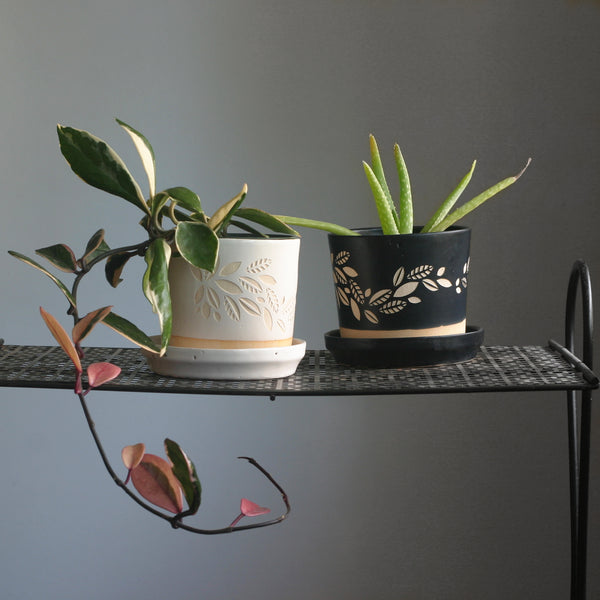 Houseplant pots with engraved leaves