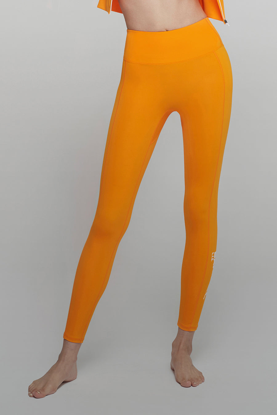 Buy Orange Leggings for Women by Twin Birds Online | Ajio.com