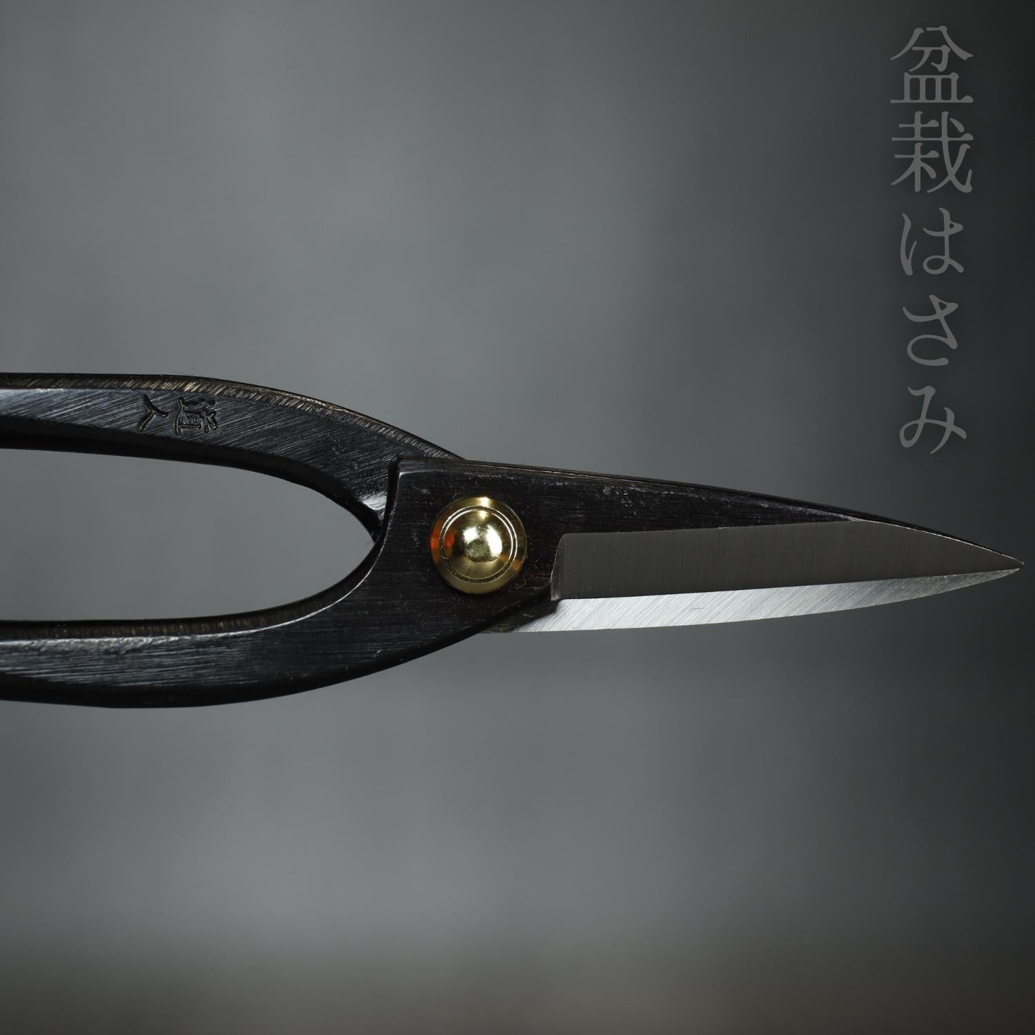 Bonsai Scissors 16.5 cm/6.5 inch Bairyu Made in Japan