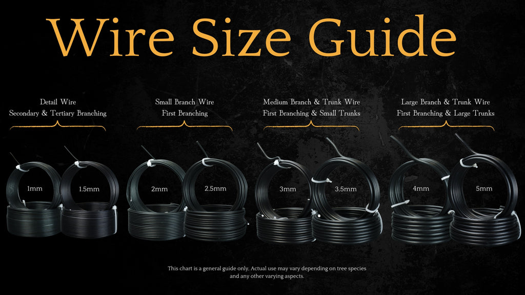 Bonsai wire size chart