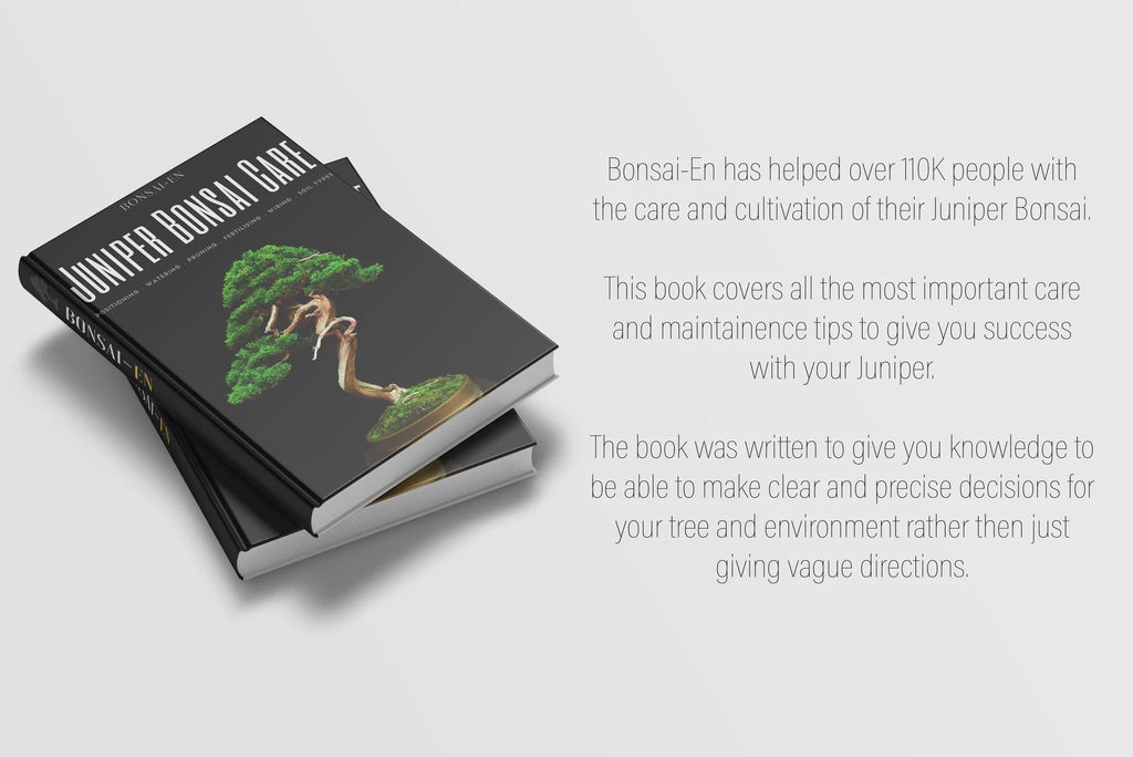 Juniper bonsai Care Guide ebook cover