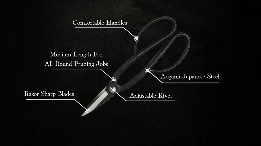 Aogami Prunign shears
