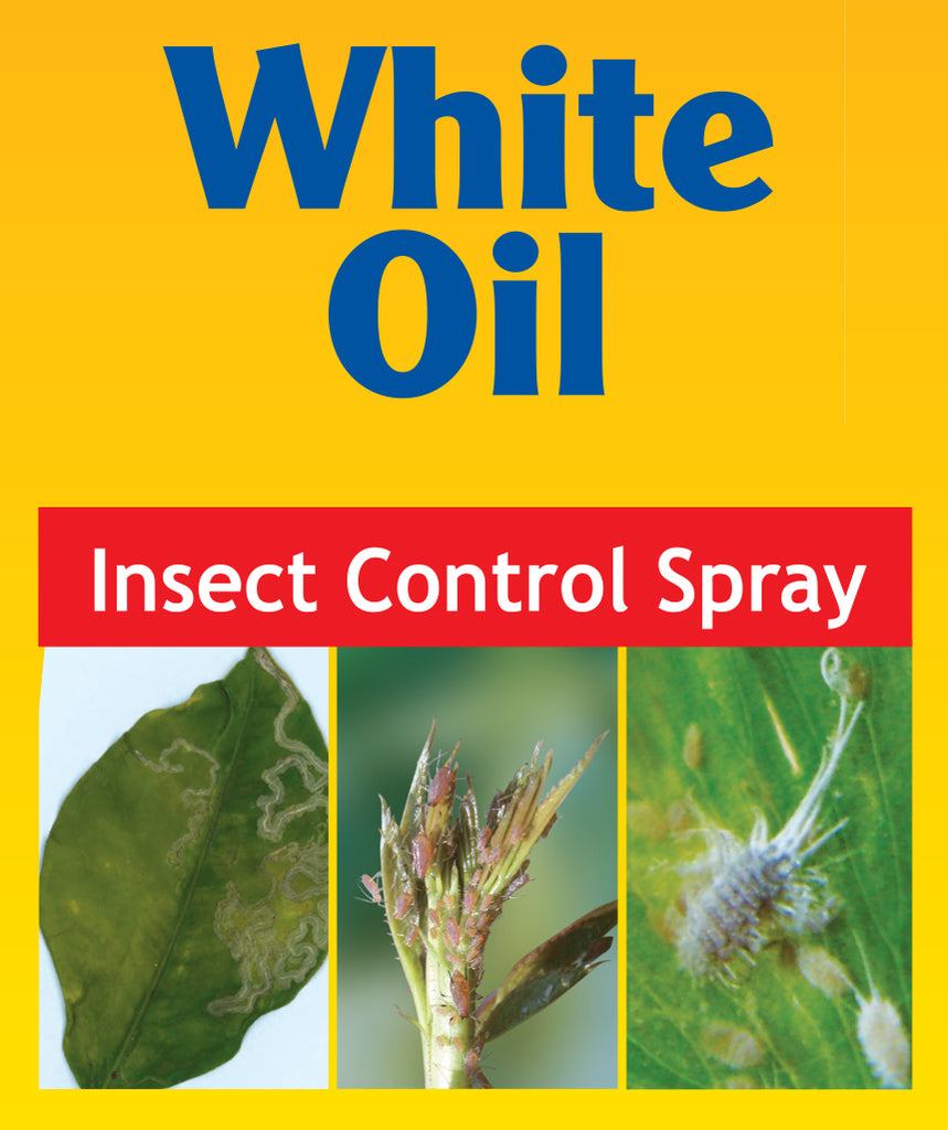 White Oil Pest Control