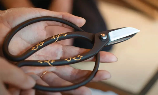 The most expensive bonsai scissors