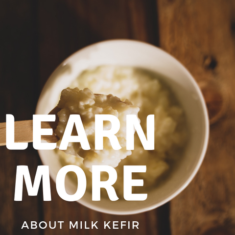 Learn More about Milk kefir