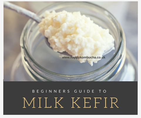 Beginners guide to milk kefir – Happy Kombucha