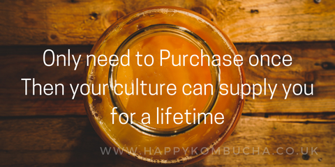 Only need to purchase once, then your culture can supply you for a lifetime