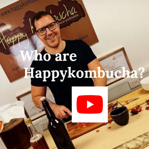 Who are happykombucha video