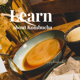 Learn about Kombucha