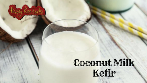 Coconut Milk kefir