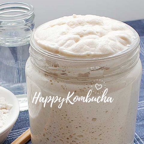 Sourdough starter made with organic flour by happykombucha