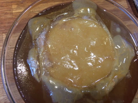 Healthy or Mouldy Scoby: How Do I Know?