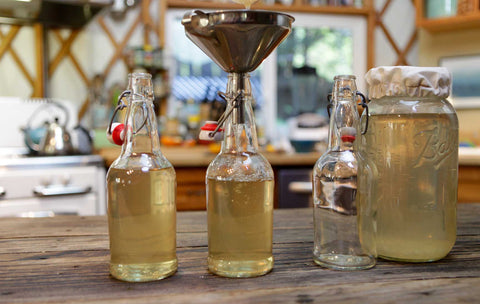 bottling water kefir