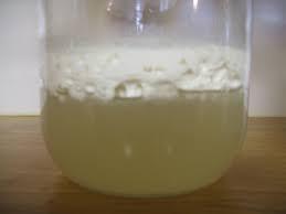 mature kefir for Quark