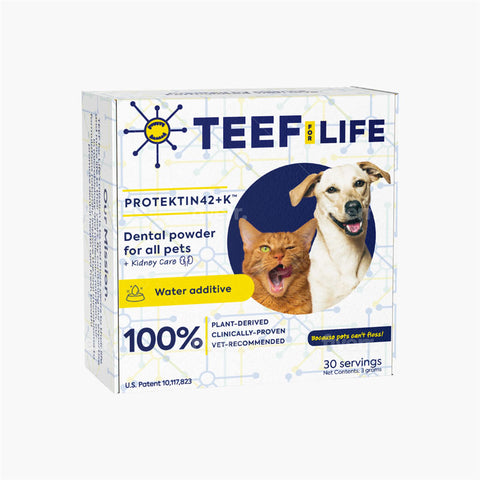 TEEF! Protektin42+K™ Dental Kit: Powder Water Additive for All Pets + Kidney Care