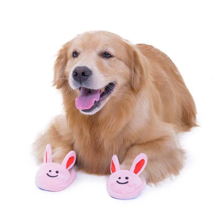 bunny slippers for dogs