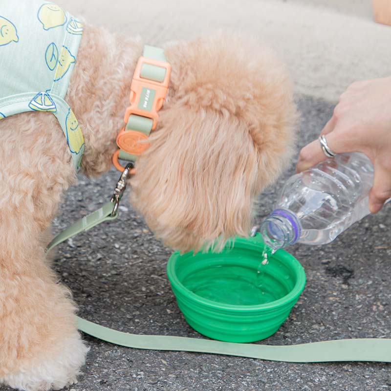 Classic Dog Travel Water Bottle