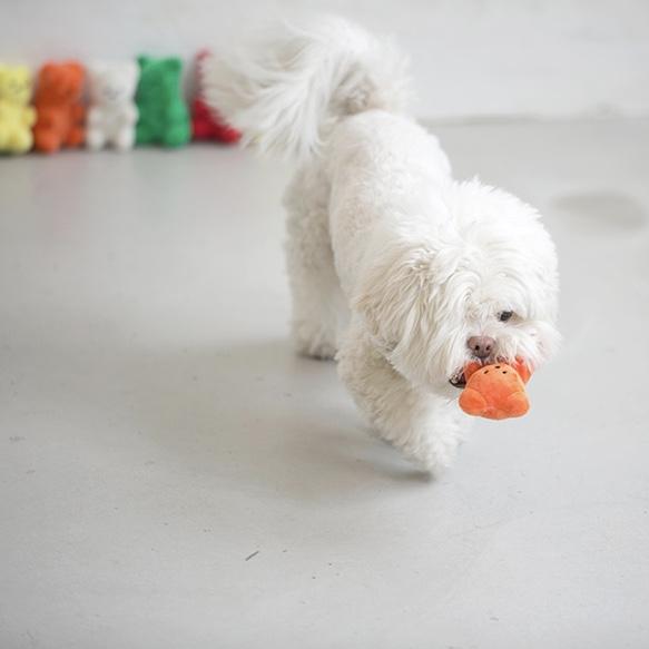 Ramen Nosework Plush Dog Toy - Boris & Horton