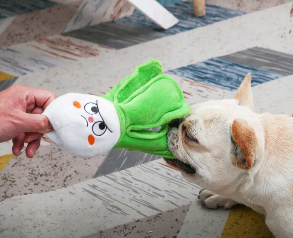 https://cdn.shopify.com/s/files/1/0154/8632/0688/products/hugsmart-feisty-veggie-bok-choy-dog-toy-537763.jpg?v=1618862809&width=985