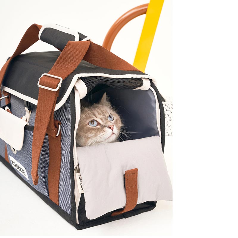 iCandor - iBag Pet Carrier - Sassy Cream (2 Sizes)