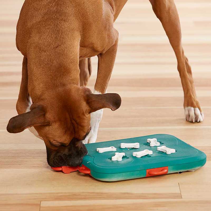 Outward Hound Challenge Slider Dog Puzzle Toy