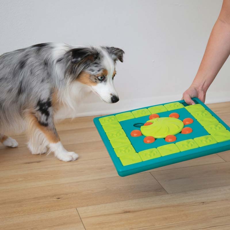 Nina Ottosson by Outward Hound Challenge Slider Interactive Dog Puzzle