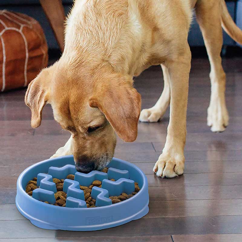 WOBBLE BOWL - SLOW FEEDER & DOG PUZZLE IN ONE - Nina Ottosson